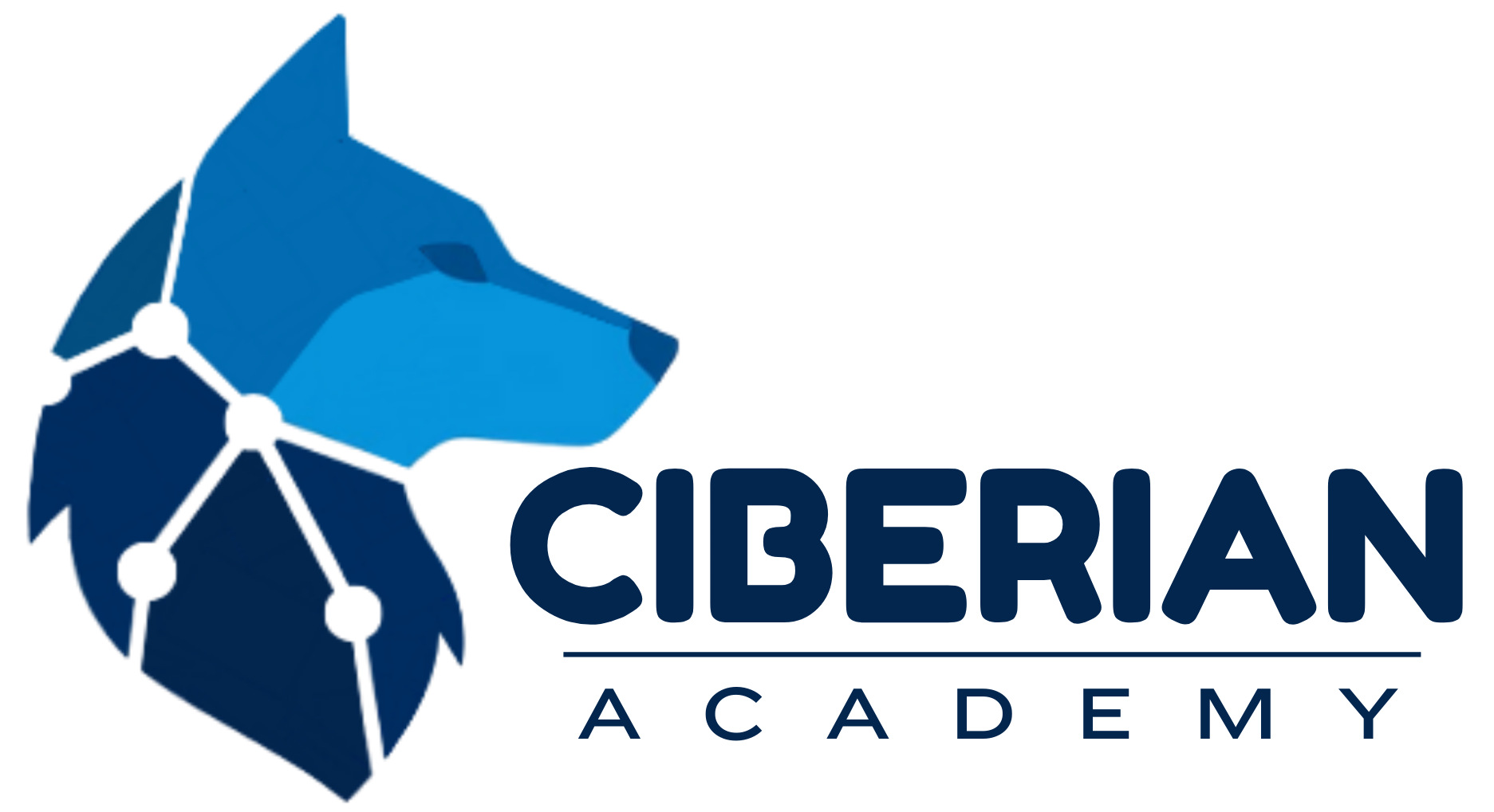 Ciberian Academy